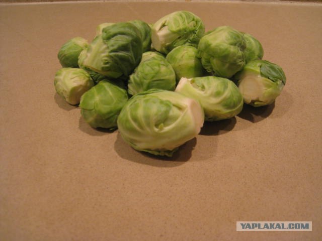 Капуста International, Наступила осень, отцвела капуста...