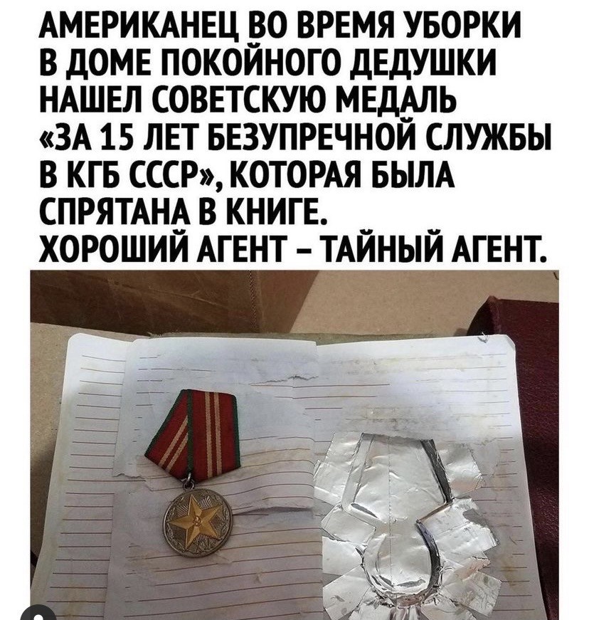 15849388.jpg