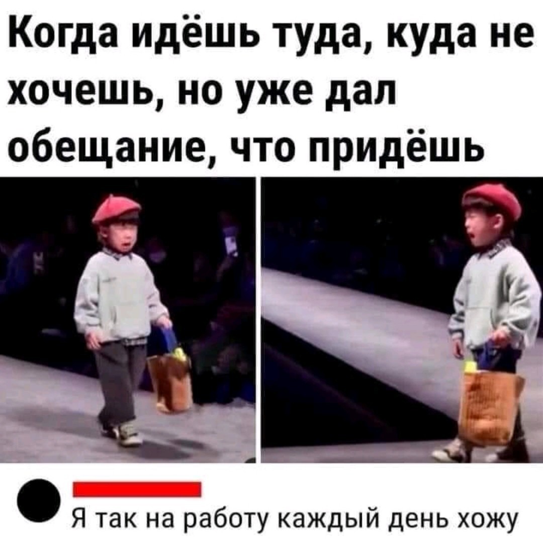 15915388.jpg
