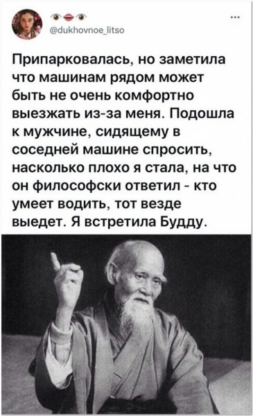 Всяческие картинки 24.11.2021