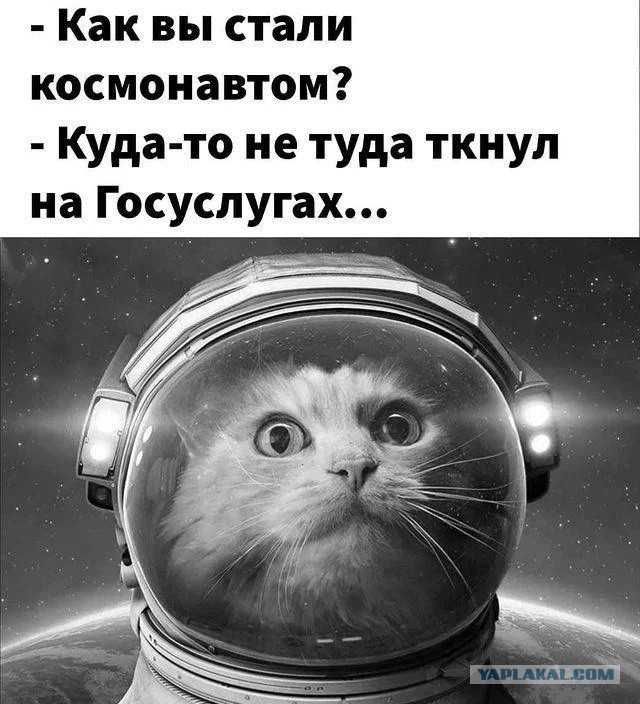 Просто так...