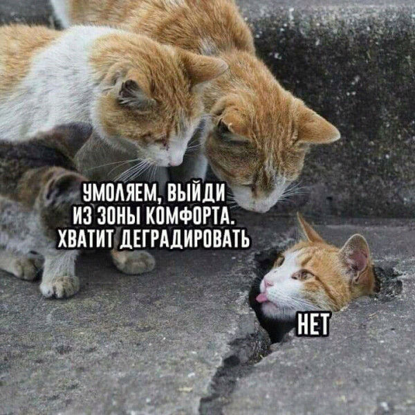 Баянисто-небаянистый юмор 4.03.22