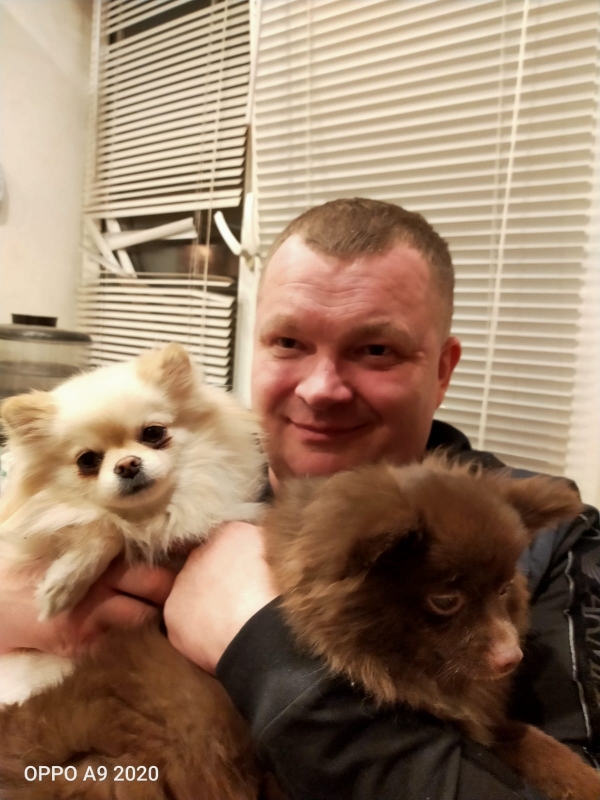 Про собачек