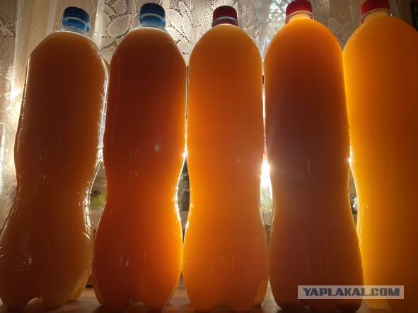 Сидр, от начала до продукта!