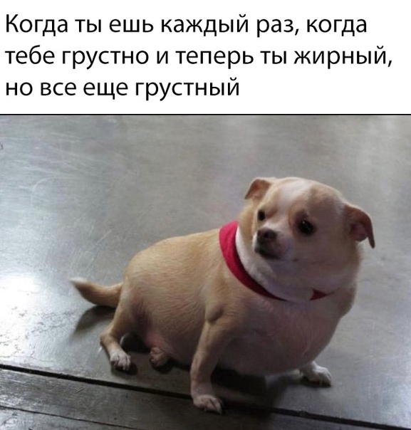 Немного картинок для настроения - 137