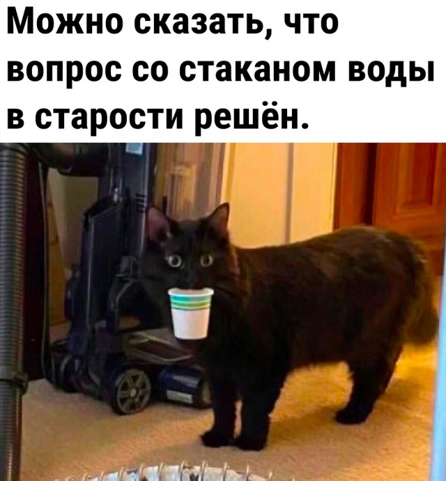 Вечер Баянов
