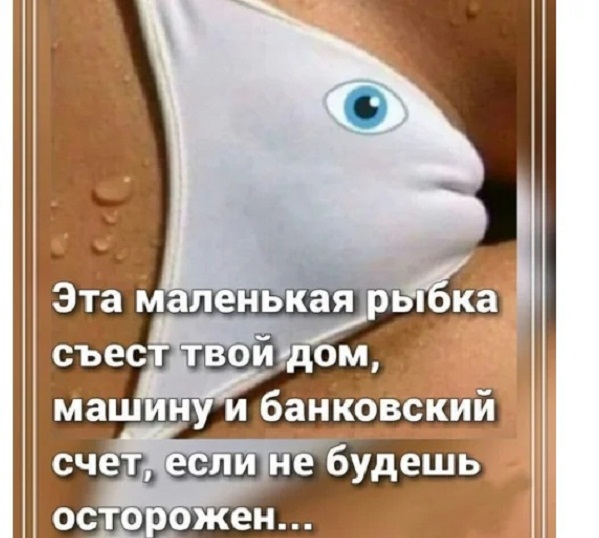Немного картинок для настроения - 155