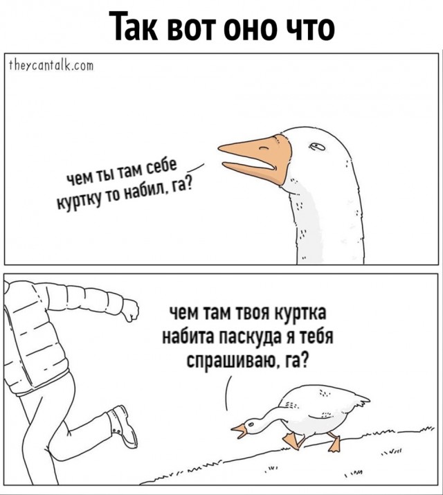 Гусь вялый