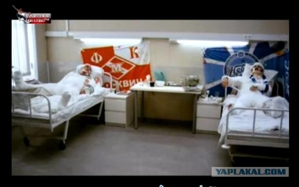 Сербские и английские фанаты устроили драку в Гельзенкирхене