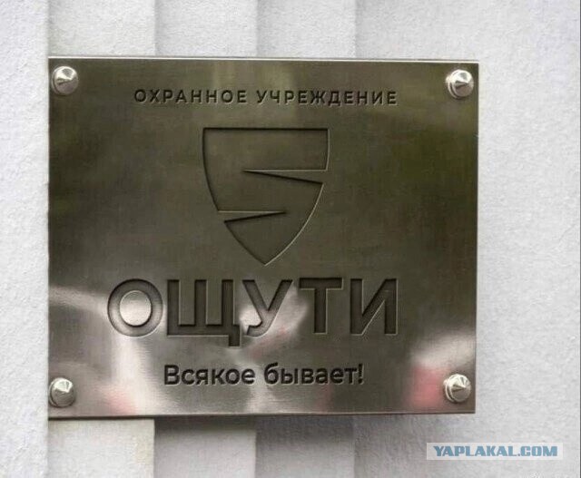Нуштош 24.07.2024