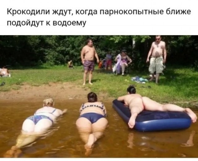Весёлый полтишок 13.08.24