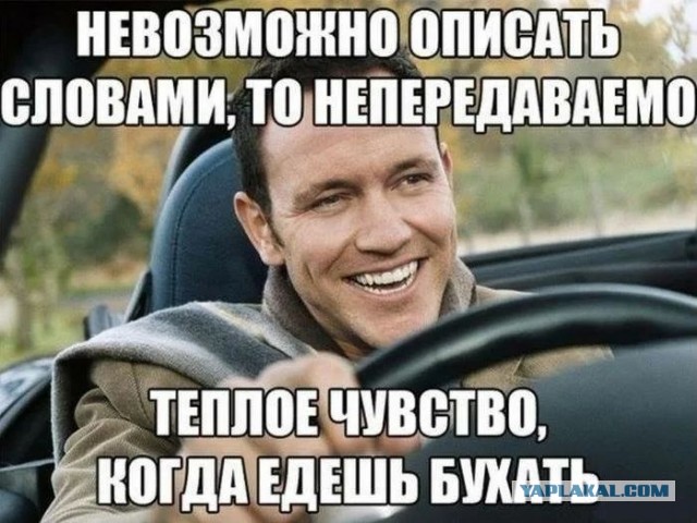 Деградируем и подпеваем - v. 2,0