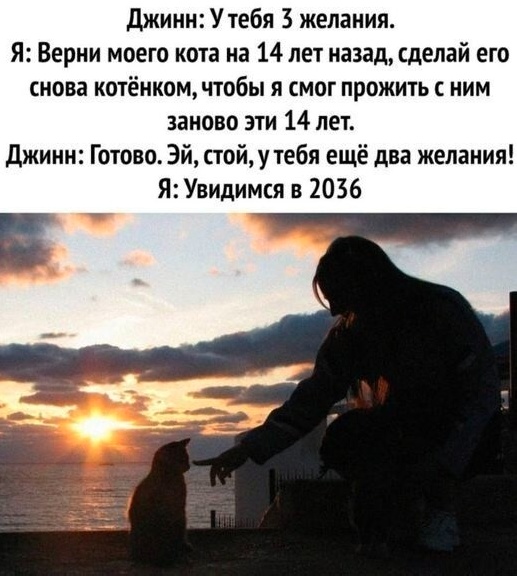 Так себе картинки 04.02.25