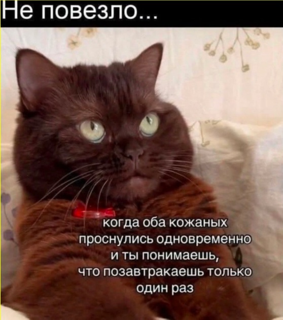 Так себе картинки 27.05.25