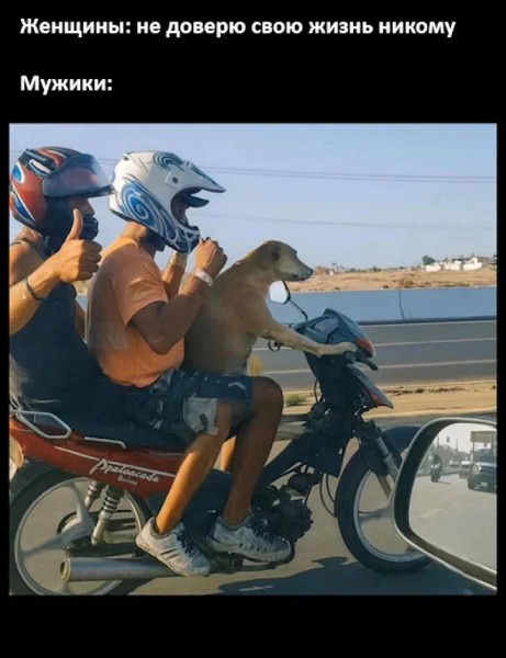 Среды картинки