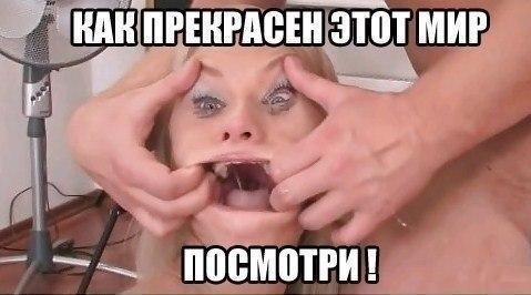 То есть по поводу члена вопросов нет?