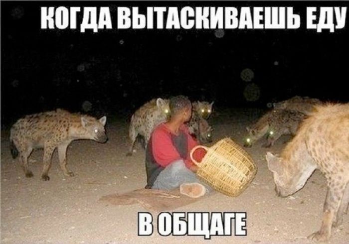 21183388.jpg
