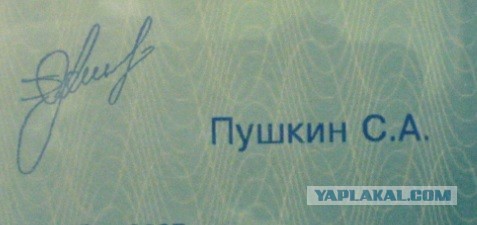 Подборка самых необычных официальных подписей показали в сети