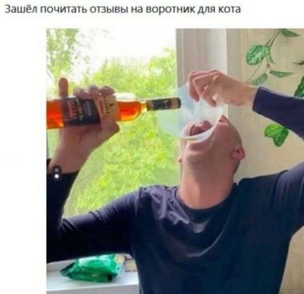 Веселые картинки в пятницу (16.10)