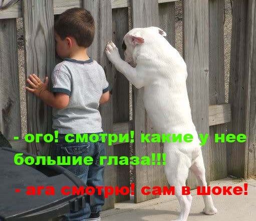 Собакочетверг никто не отменял.