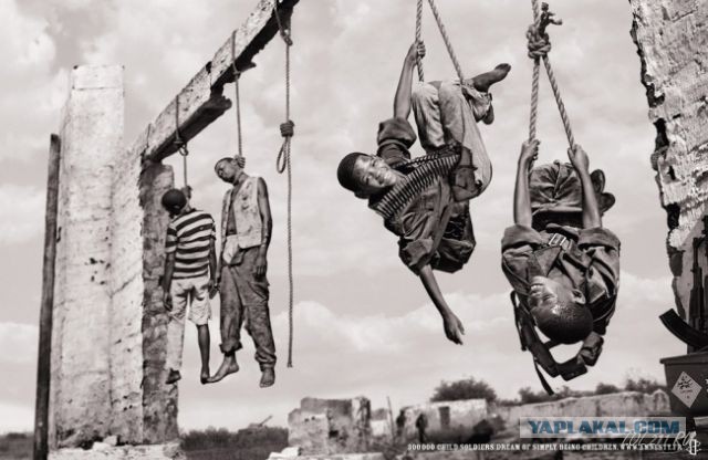 Смешные комментарии из социальных сетей.