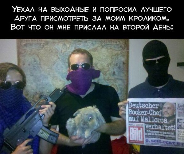 Фотоотчеты