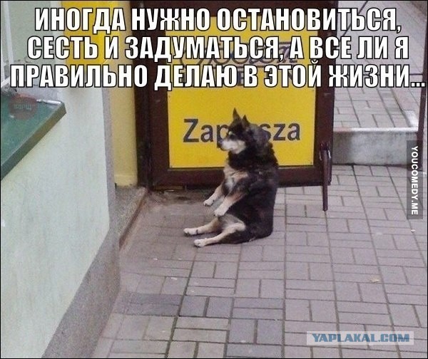 Снова картинки (что-то взгрустнулось)