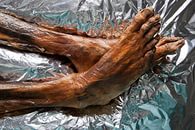 Я смотрю народ у нас слегка "опух", От хорошей жизни