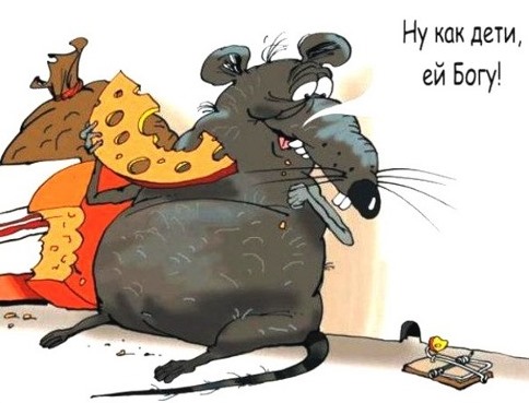 Корейская мышеловка