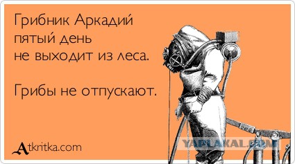 Любимая ГРИБОСРЕДА – опять нас радует всегда!