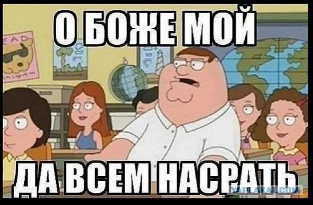 Московские Хищники бросают вызов Питеру.