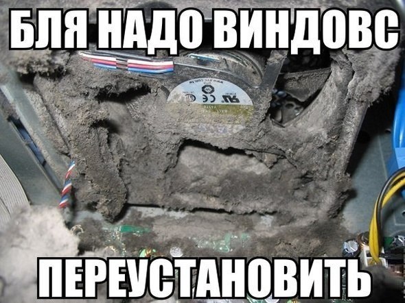 Подборка веселостей из сети