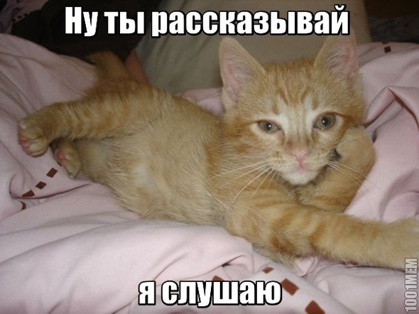 Полный-Пустой бак