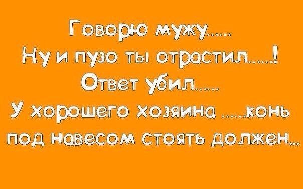Плюшкиным посвящается