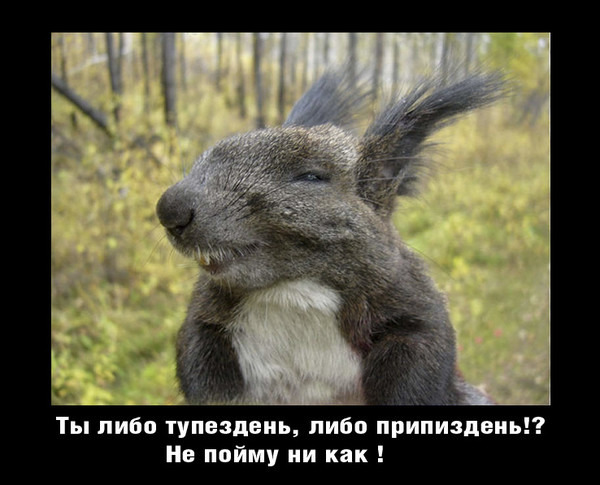 Пенсионный фонд Норвегии