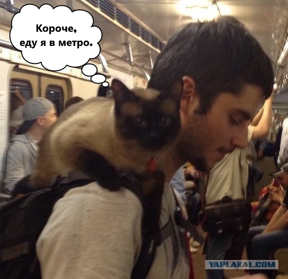 Короче, еду я в метро