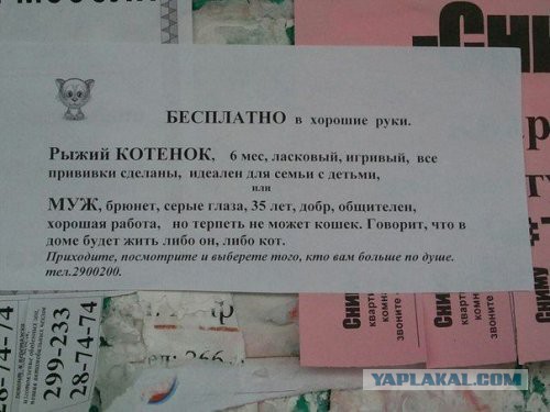 Подборка приколов на пятницу