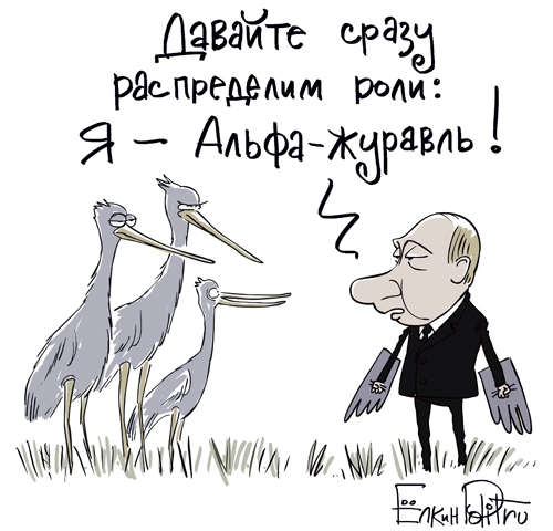 Путин с клювом в халате возглавил журавлиный клин