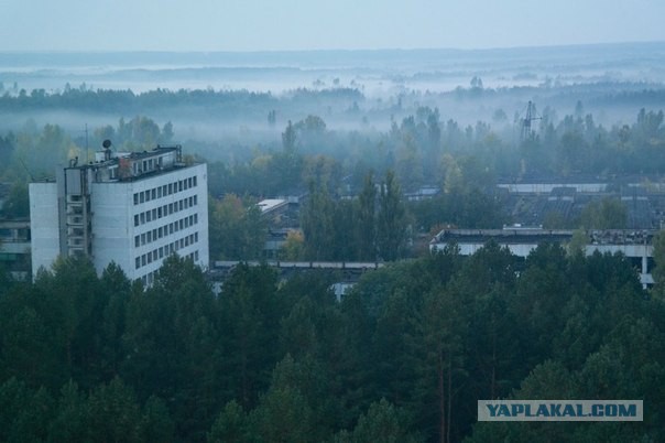 Как IT-шник в чернобыльской зоне побывал