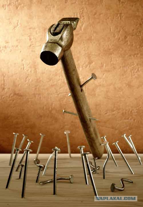 Наши там. Новая Зеландия: «Я думал, мне 33 года, куда я попал?»