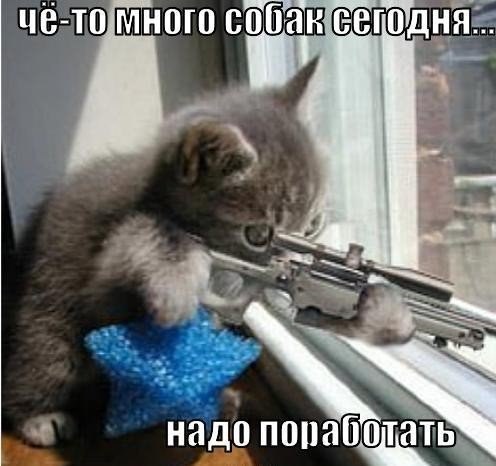 Мохнатые беспредельщики