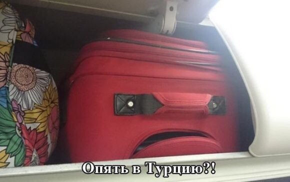 Подборка приколов