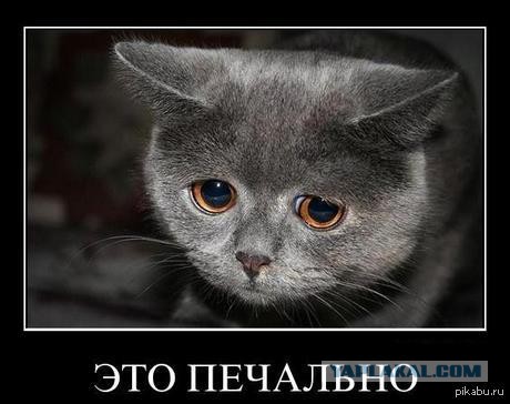 Последствия сильнейшего наводнения в Приморье