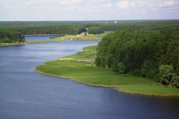 Порция картинок