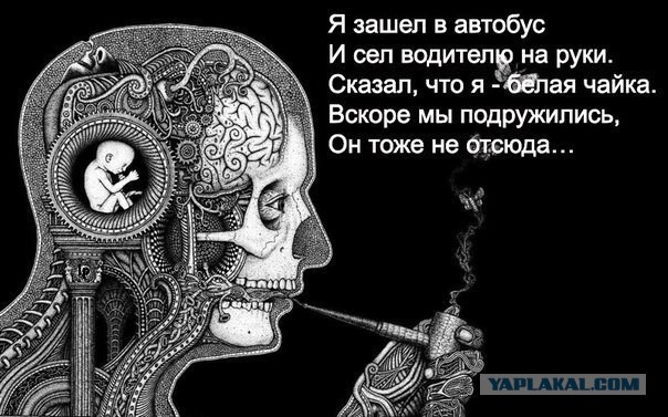 Юмор не для всех