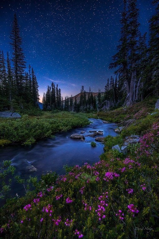 Фотографии из самых разных уголков планеты которые захватывают дух.