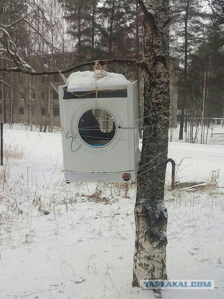 Журнал школьный деградант