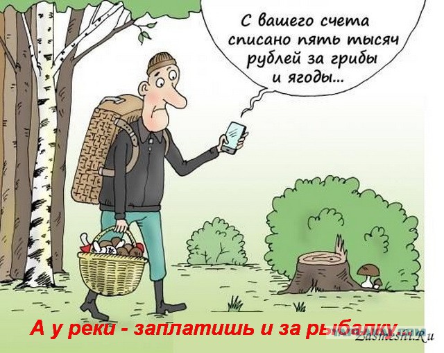 Прикольные комментарии и высказывания из Сети