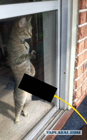 Договаривайтесь заранее - Какое окно..