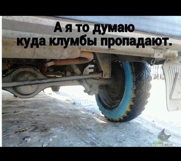 Не очень адекватный юмор